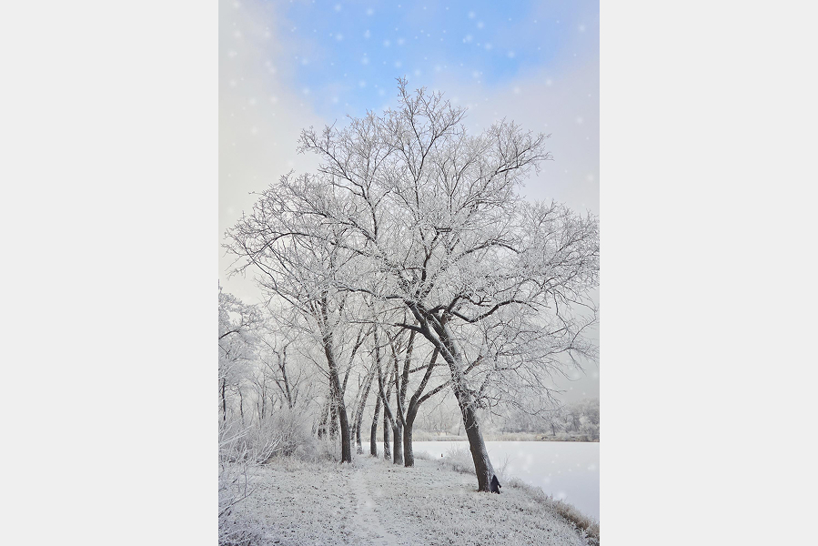 Emergency Service (1)